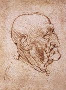 LEONARDO da Vinci Profile of an old man oil